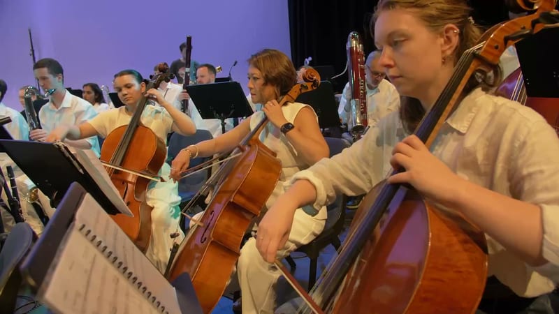 String section musicians performing together during an orchestral concert with sheet music and professional stage lighting.