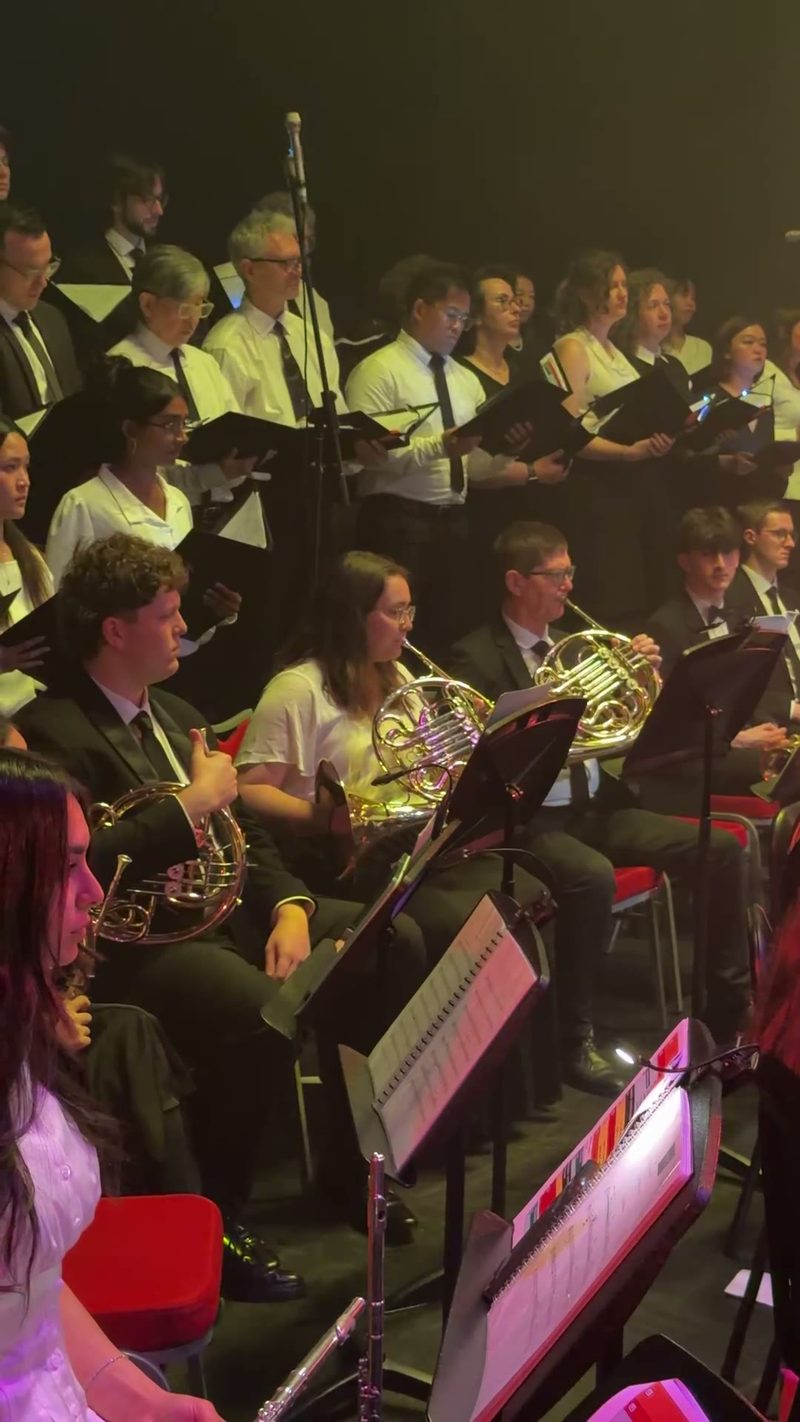 A brass section featuring musicians playing French horns during a performance.