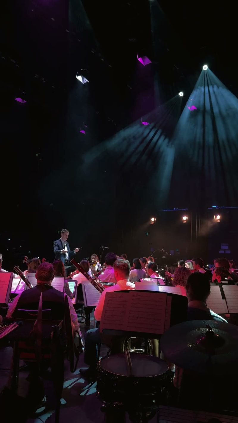 A conductor leads an orchestra during a performance.